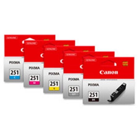 Canon Canon CNMCLI251GY Ink Cartridge; Gray CNMCLI251GY